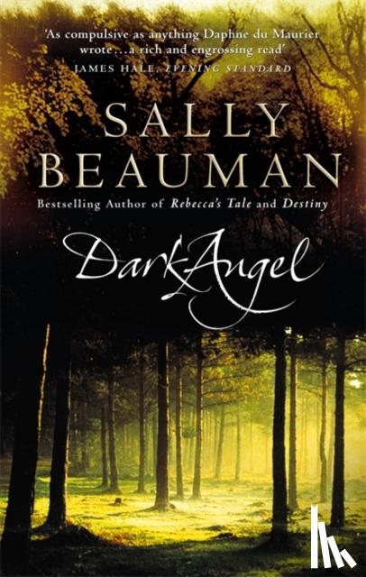 Beauman, Sally - Dark Angel
