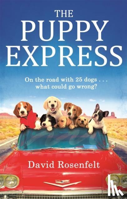 Rosenfelt, David - Puppy Express