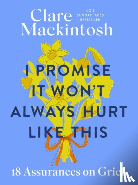 Mackintosh, Clare - I Promise It Won't Always Hurt Like This