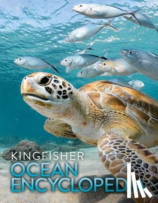 Kingfisher - The Kingfisher Ocean Encyclopedia