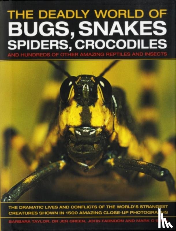 Taylor, Barbara, Green, Dr Jen, Farndon, John - The Deadly World of Bugs, Snakes, Spiders, Crocodiles and Hundreds of Other Amazing Reptiles and Insects