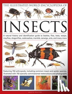 Walters, Martin - The Illustrated World Encyclopaedia of Insects