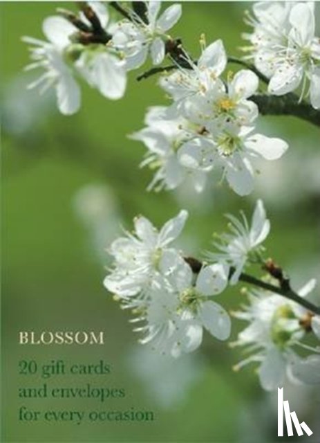 Anness Publishing - Blossom Large Card Box
