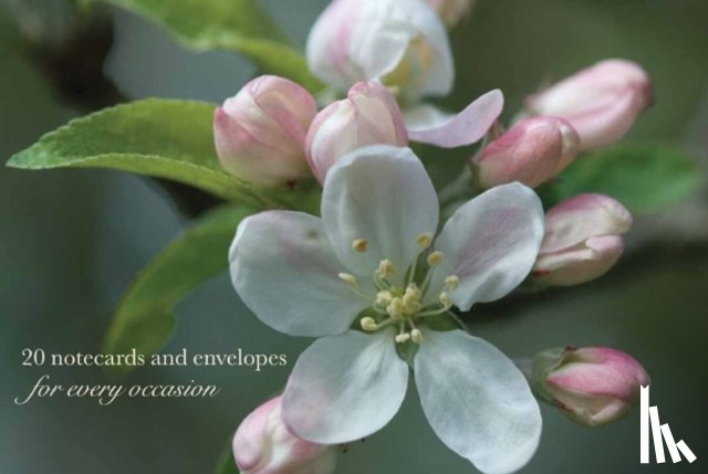 Peony Press - Cardbox of 20 Notecards and Envelopes: Apple Blossom