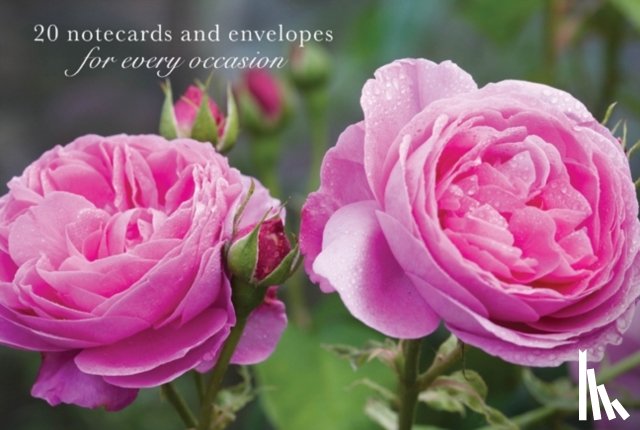 Peony Press - Card Box of 20 Notecards and Envelopes: Pink Rose