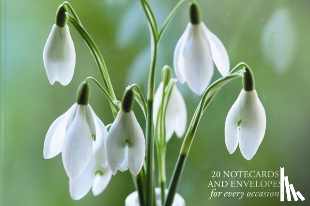 Peony Press - Card Box of 20 Notecards and Envelopes: Snowdrop