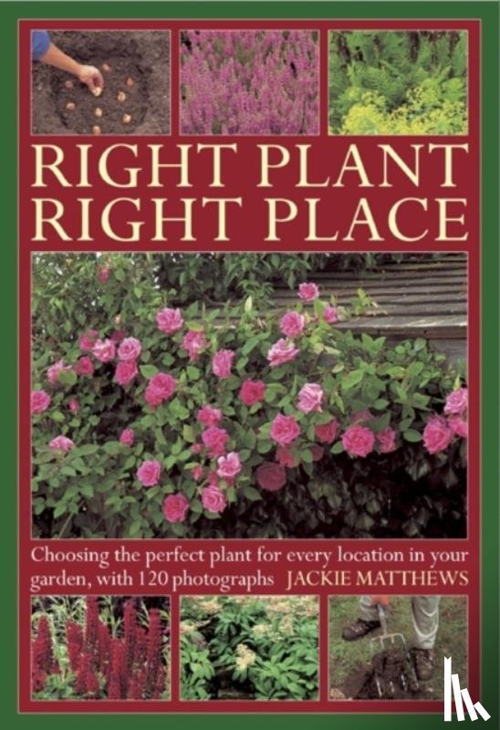 Matthews, Jackie - Right Plant Right Place