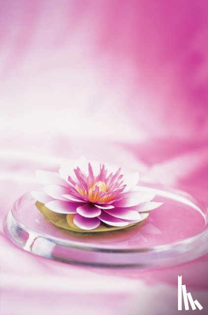 Peony Press - Memo Block Waterlily