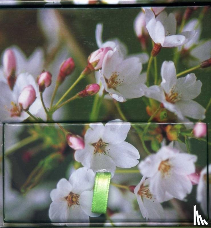 Peony Press - Memo Block Cherry Blossom