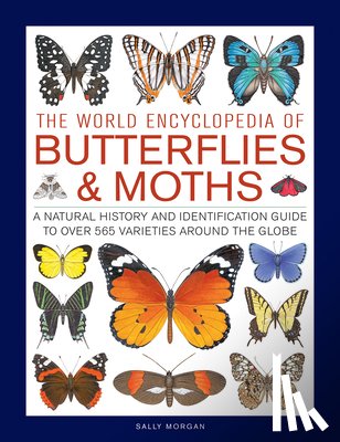 Morgan, Sally - Butterflies & Moths, The World Encyclopedia of