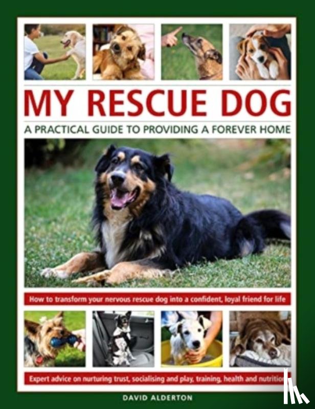 Alderton, David - My Rescue Dog: A practical guide to providing a forever home