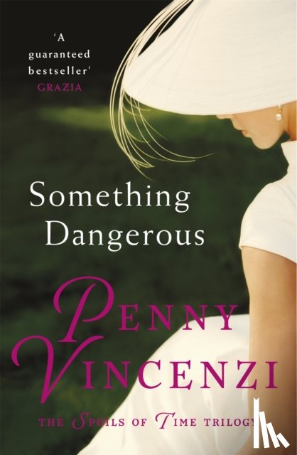 Vincenzi, Penny - Something Dangerous