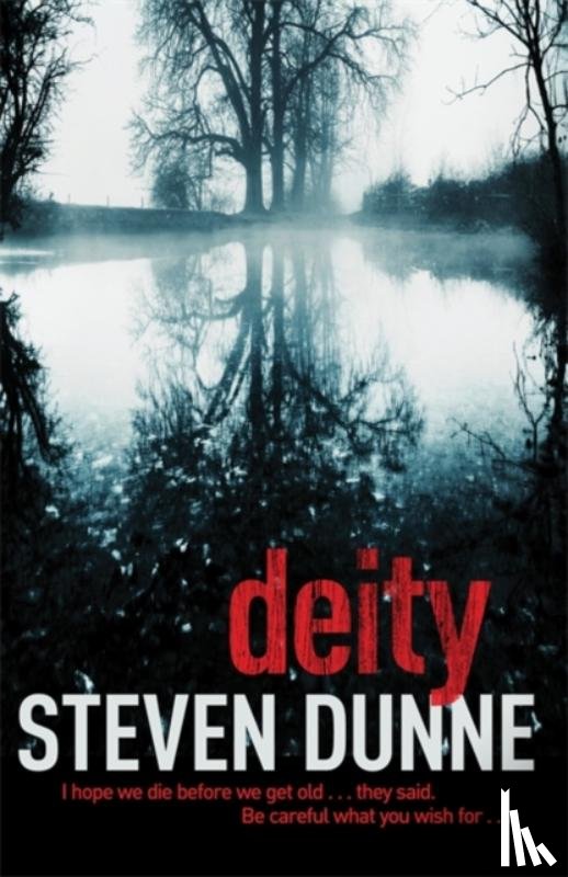Dunne, Steven - Deity (DI Damen Brook 3)