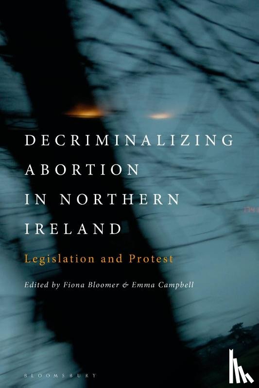  - Decriminalizing Abortion in Northern Ireland