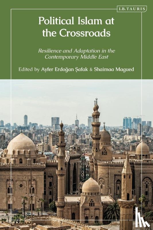  - Political Islam at the Crossroads