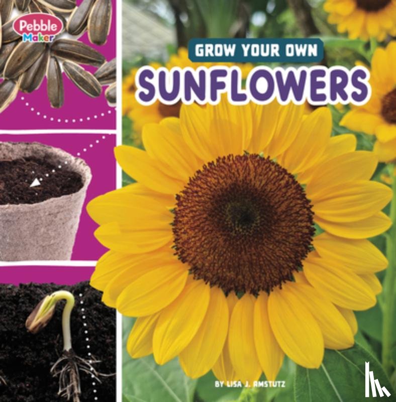 Amstutz, Lisa J. - Grow Your Own Sunflowers