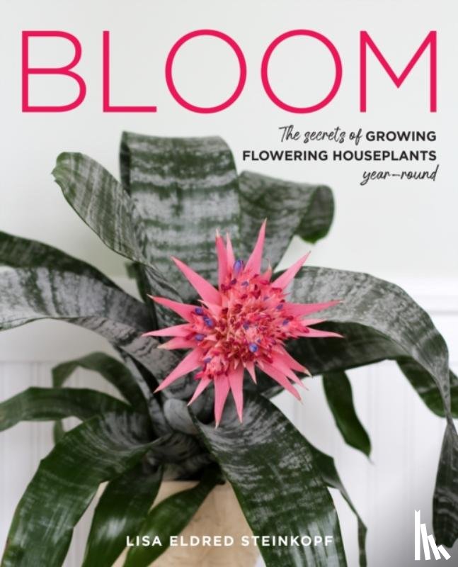 Steinkopf, Lisa Eldred - Bloom