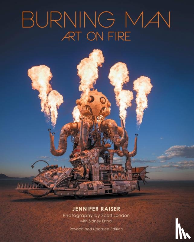 Raiser, Jennifer - Burning Man: Art on Fire