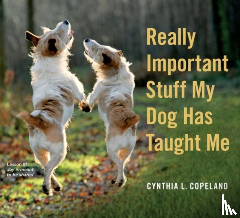 L. Copeland, Cynthia - Really Important Stuff My Dog Has Taught Me