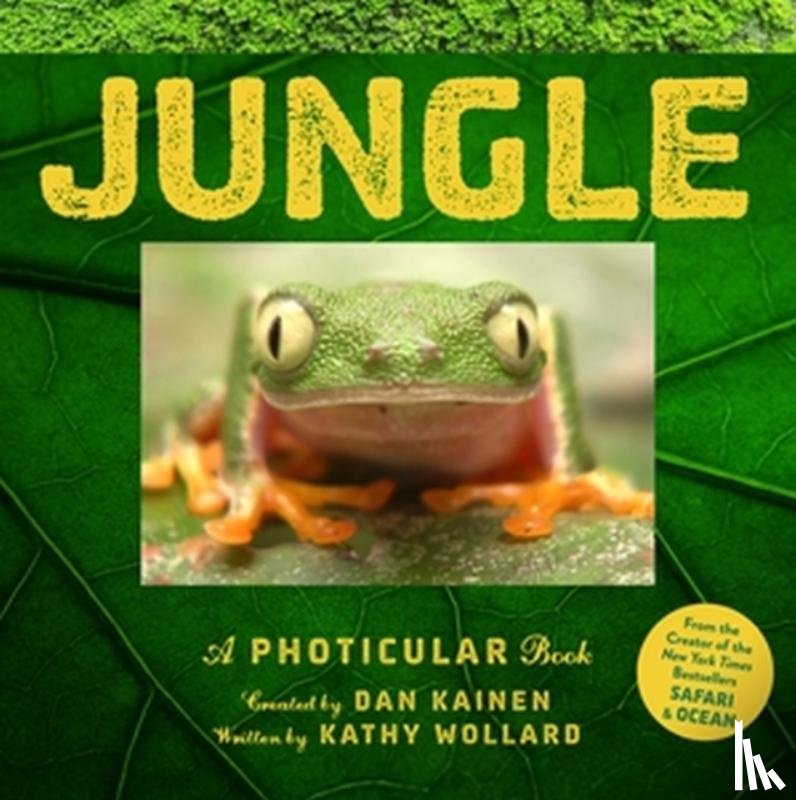 Kainen, Dan, Wollard, Kathy - Jungle