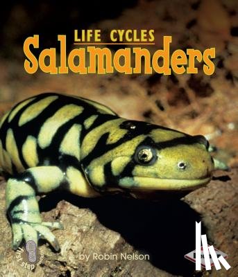 Nelson, Robin - Salamanders
