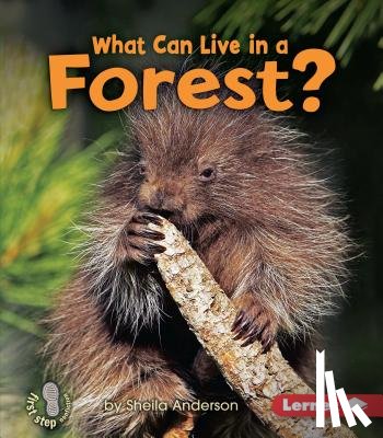 Anderson, Sheila - What Can Live in a Forest?