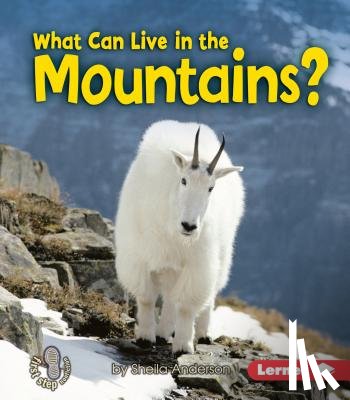 Anderson, Sheila - What Can Live in the Mountains?