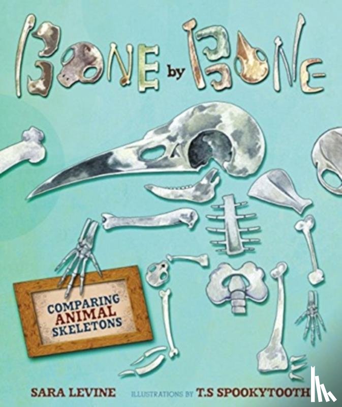 Levine, Sara - Bone by Bone