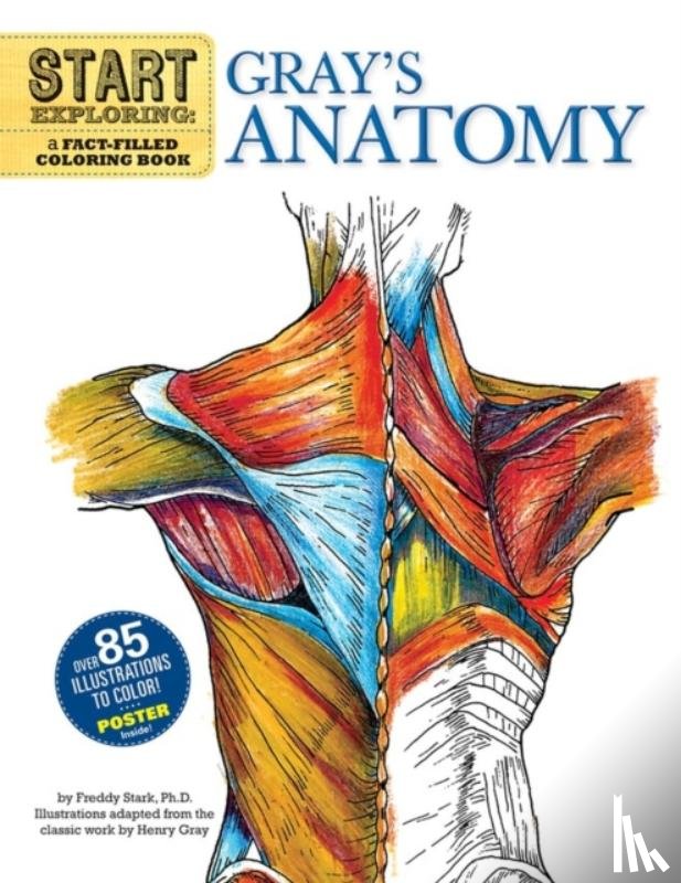 Stark, Freddy - Start Exploring: Gray's Anatomy