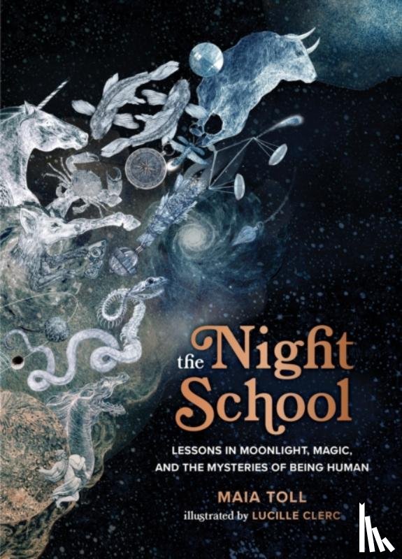Toll, Maia - The Night School