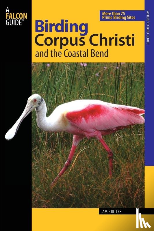 Ritter, Jamie - Birding Corpus Christi and the Coastal Bend