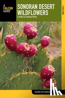 Spellenberg, Richard - Sonoran Desert Wildflowers