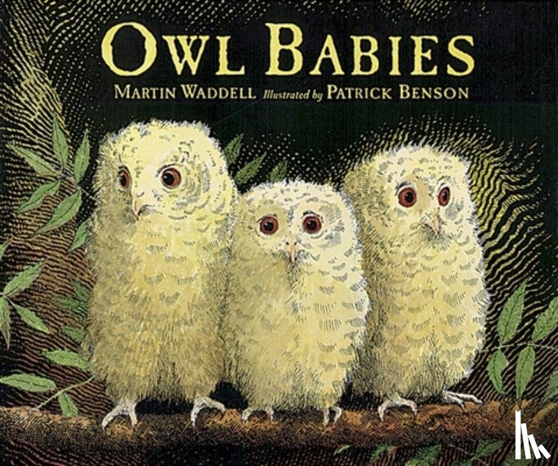 Waddell, Martin - Owl Babies