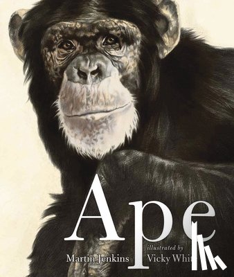 Jenkins, Martin - Jenkins, M: Ape