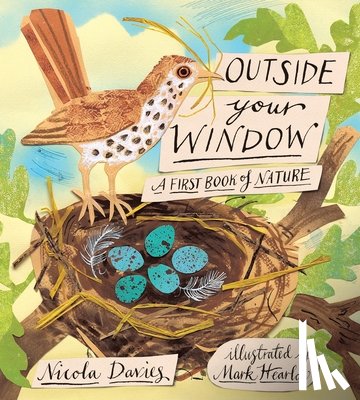 Davies, Nicola - Davies, N: Outside Your Window