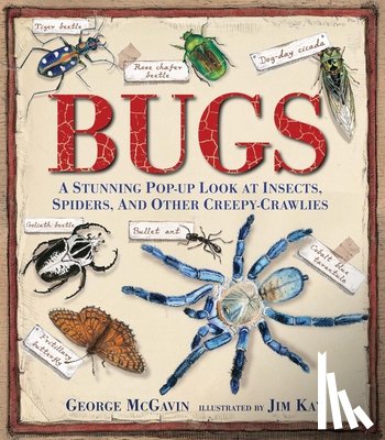 McGavin, George - Bugs: A Stunning Pop-Up Look at Insects, Spiders, and Other Creepy-Crawlies