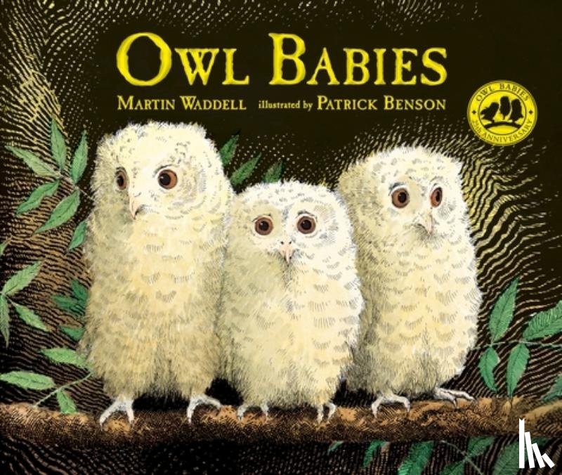 Waddell, Martin - Owl Babies