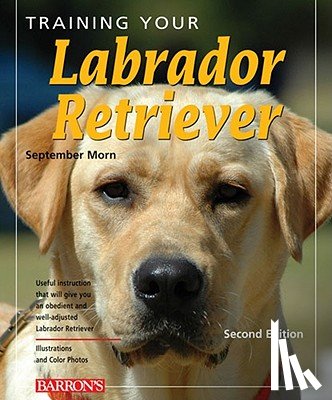 Morn, September - Training Your Labrador Retriever