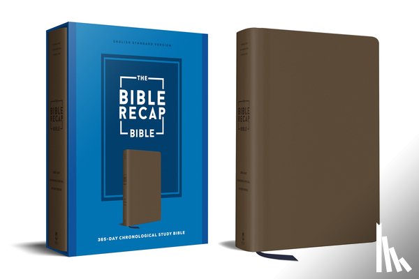 Cobble, Tara-Leigh - The Bible Recap 365-Day Chronological Study Bible