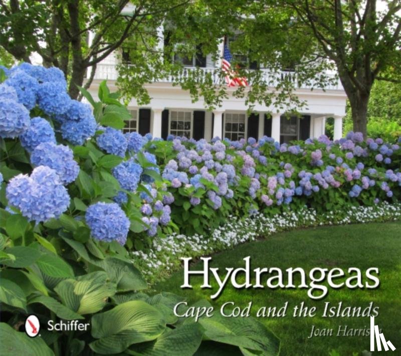 Harrison, Joan - Hydrangeas