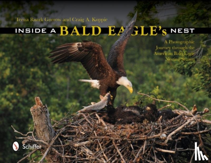 Gorrow, Teena Ruark, Koppie, Craig A. - Inside a Bald Eagle's Nest