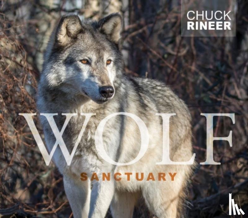 Rineer, Chuck - Wolf Sanctuary