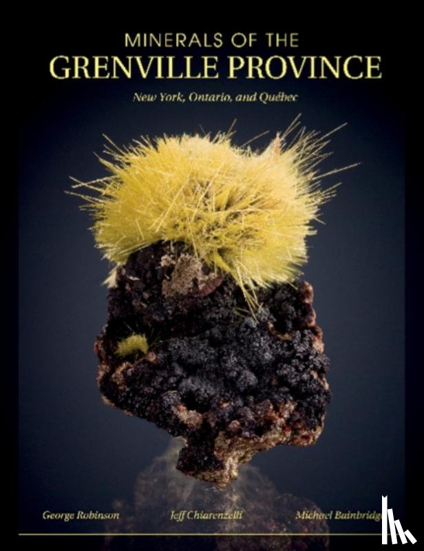 Chiarenzelli, Jeffrey, Robinson, George W., Bainbridge, Michael - Minerals of the Grenville Province