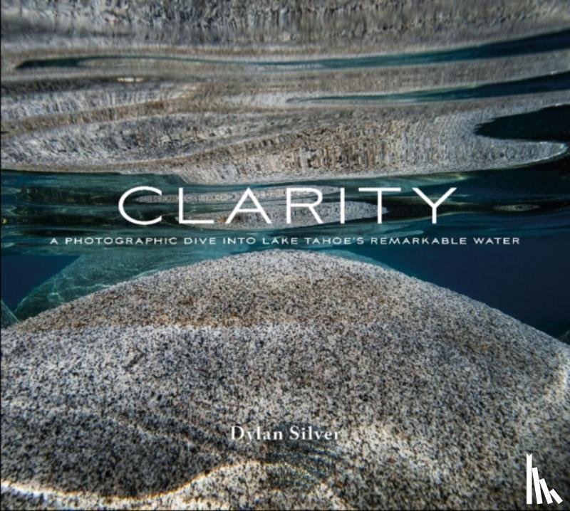 Silver, Dylan - Clarity