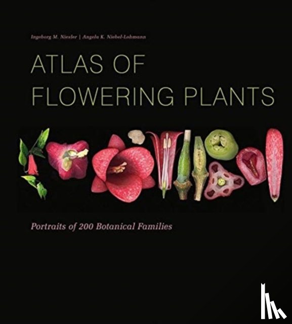 Niesler, Ingeborg M., Niebel-Lohmann, Angela K. - Atlas of Flowering Plants