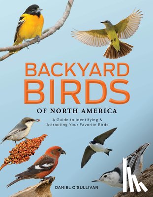O'Sullivan, Daniel - Backyard Birds of North America