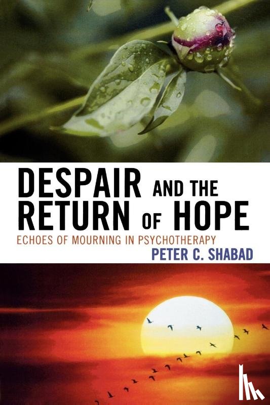 Shabad, Peter C. - Despair and the Return of Hope