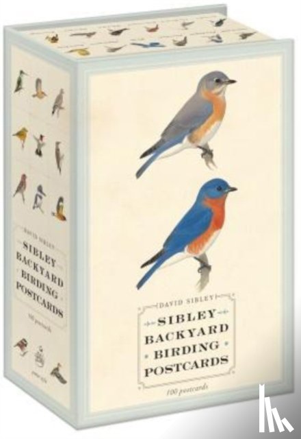 Sibley, David, Sibley, David Allen - Sibley Backyard Birding Postcards