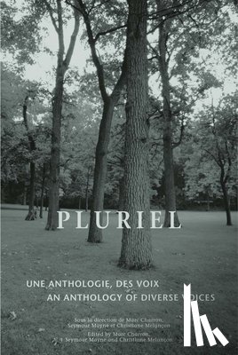  - Pluriel
