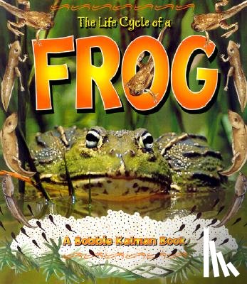 Kalman, Bobbie - The Life Cycle of a Frog
